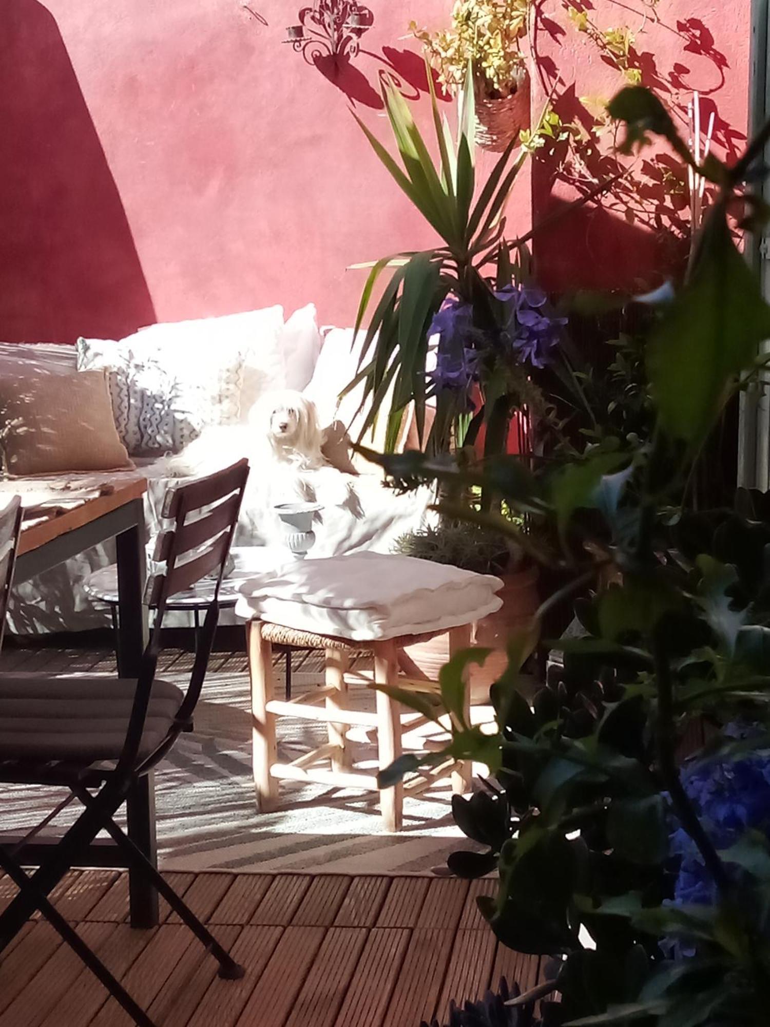 La Maison Perchee Aigues-Mortes Quarto foto